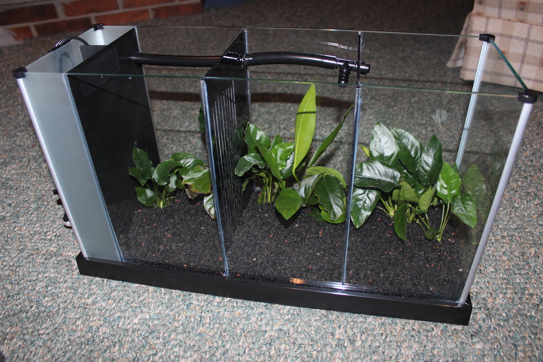 Divided on sale fish tank